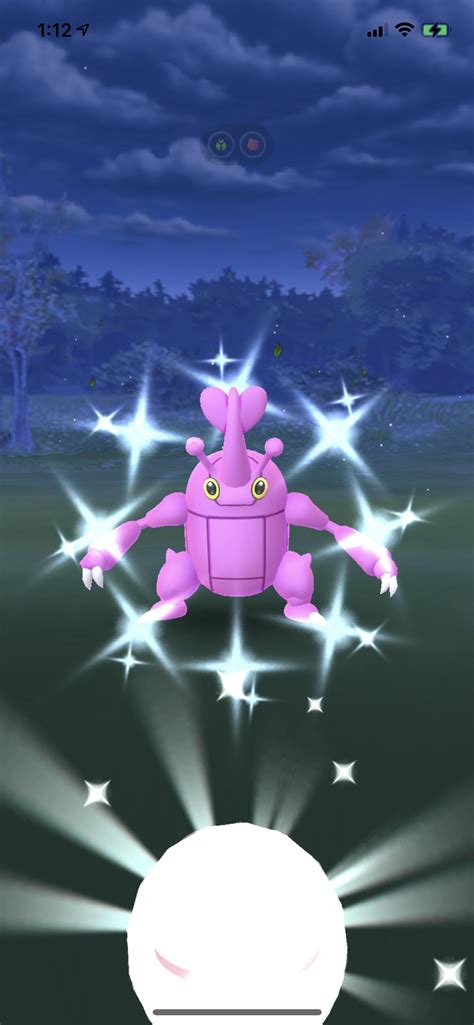 shiny heracross